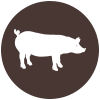 Icon Schwein